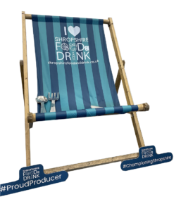 promotional-Deckchairs-at-WPG-Branded-deckchair-sml